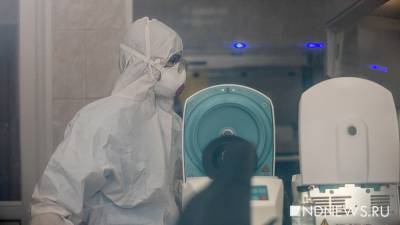 Ангелина Сергеева - В Свердловской области снова растет заболеваемость Covid-19 - newdaynews.ru - Екатеринбург - Свердловская обл.
