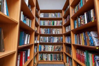 Наталья Сергунина - В Москве создали онлайн-сервис для бронирования книг в библиотеках - govoritmoskva.ru - Москва