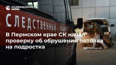 В Пермском крае СК начал проверку об обрушении потолка на подростка - realty.ria.ru - Пермь - Пермский край