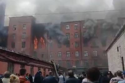 Причиной пожара на Невской мануфактуре назвали поджог - mk.ru - Санкт-Петербург