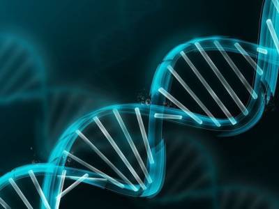 Предложен новый способ невирусной доставки ДНК в клетки - polit.ru - шт.Северная Каролина