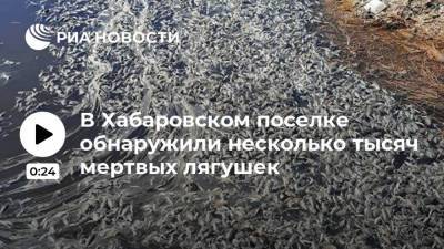 Владимир Сидоров - В Хабаровском поселке обнаружили несколько тысяч мертвых лягушек - ria.ru - Хабаровск - Хабаровский