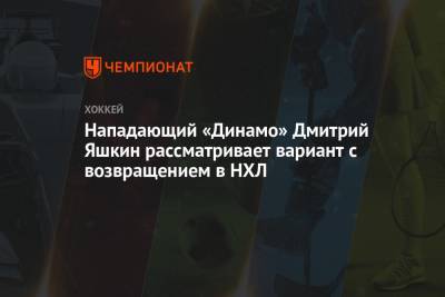 Луис Блюз - Сергей Емельянов - Дмитрий Яшкин - Нападающий «Динамо» Дмитрий Яшкин рассматривает вариант с возвращением в НХЛ - championat.com - Москва - Вашингтон