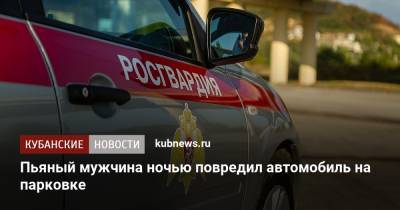 Пьяный мужчина ночью повредил автомобиль на парковке - kubnews.ru - Сочи - Краснодарский край