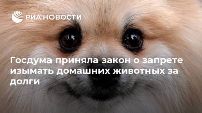 Владимир Бурматов - Павел Крашенинников - Госдума приняла закон о запрете изымать домашних животных за долги - ria.ru - Москва
