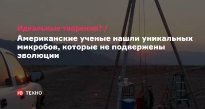 Идеальные творения? Американские ученые нашли уникальных микробов, которые не подвержены эволюции - nv.ua