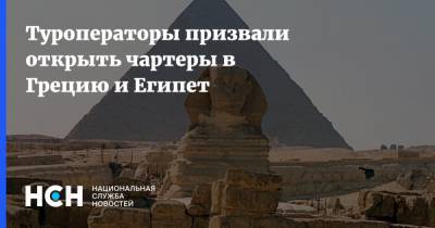 Туроператоры призвали открыть чартеры в Грецию и Египет - nsn.fm - Египет - Турция - Кипр - Греция
