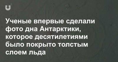 Ученые впервые сделали фото дна Антарктики, которое десятилетиями было покрыто толстым слоем льда - news.tut.by - Берлин