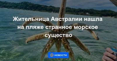 Анна Лысенко - Жительница Австралии нашла на пляже странное морское существо - news.mail.ru - Австралия