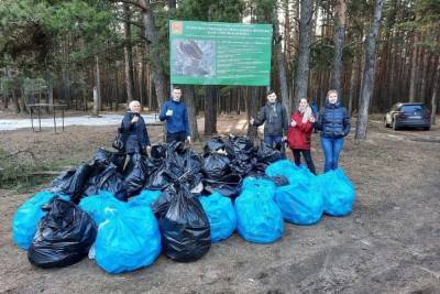 Жители Твери собрали в роще 40 мешков мусора - tver.mk.ru - Тверь