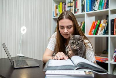 Как ребенку полюбить дистанционку: учить родителей, слушать BTS и включать… помидоры - kp.ua - Бахмут - Донецкая обл.