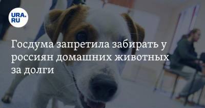 Владимир Бурматов - Павел Крашенинников - Госдума запретила забирать у россиян домашних животных за долги - ura.news