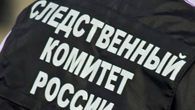 СК в Алтае расследует смерть школьницы после беседы с завучем из-за TikTok - polit.info - респ. Алтай - Рубцовск