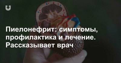 Пиелонефрит: симптомы, профилактика и лечение. Рассказывает врач - news.tut.by