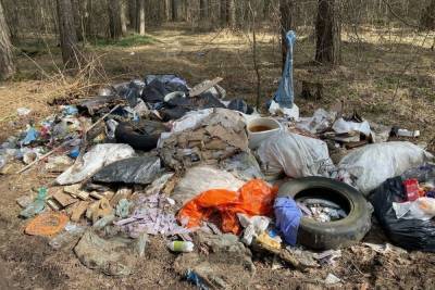 В лесу под Тверью растет стихийная свалка, созданная проезжающими мимо людьми - tver.mk.ru - Тверь