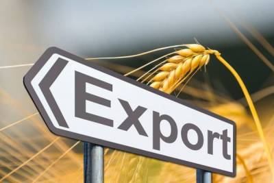 Майя Санду - Ион Кик - В Молдавии планируют продлить мораторий на экспорт пшеницы - eadaily.com - Молдавия