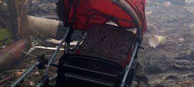 Молодая жительница Петрозаводска, устроившая смертельный поджог детской коляски, отправилась в колонию на 13 лет - stolicaonego.ru - Петрозаводск - республика Карелия