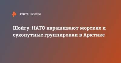 Сергей Шойгу - Шойгу: НАТО наращивают морские и сухопутные группировки в Арктике - ren.tv - Мурманск - Арктика