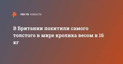 В Британии похитили самого толстого в мире кролика весом в 16 кг - ren.tv - Англия - Великобритания