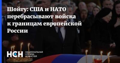 Сергей Шойгу - Сергей Рябков - Шойгу: США и НАТО перебрасывают войска к границам европейской России - nsn.fm - США - Крым