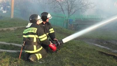 Пожар в воронежском селе добрался до жилых домов - vestivrn.ru - Воронежская обл. - район Бобровский