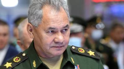 Сергей Шойгу - Шойгу рассказал о возросшей разведактивности США у границ России - russian.rt.com