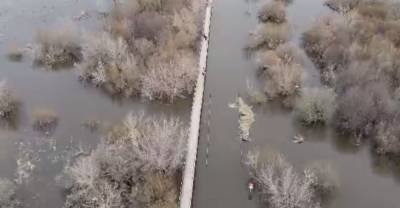 Появилось видео затопленного моста в Кстовском районе - vgoroden.ru - Нижегородская обл. - район Кстовский