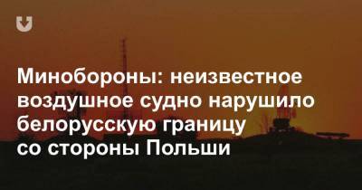 Минобороны: неизвестное воздушное судно нарушило белорусскую границу со стороны Польши - news.tut.by - Польша - Минобороны