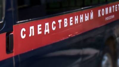 Жительница Вятки два года прятала тело зарубленного сожителя в подвале - vesti.ru - Кировская обл.