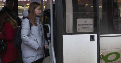 Выдадут бесплатно, ограничат в количестве поездок: десять вопросов о региональной транспортной карте - klops.ru - Калининградская обл.