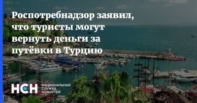 Роспотребнадзор заявил, что туристы могут вернуть деньги за путёвки в Турцию - nsn.fm - Турция - Танзания