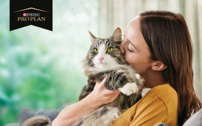 Аллергия на шерсть кошек: как с помощью корма для кошек можно нейтрализовать* аллерген - 24tv.ua