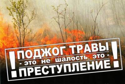 В Ярославской области – «эпидемия» травяных пожаров - yar.mk.ru - Ярославская обл. - Ярославль