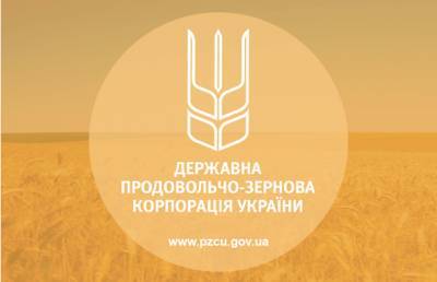 ГПЗКУ начала программу закупки урожая-2021 - agroportal.ua