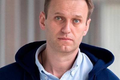 Алексей Навальный - ФСИН рассказала о состоянии здоровья Навального - lenta.ru - Владимирская обл.