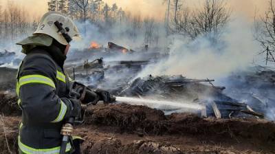 Из-за ландшафтного пожара вблизи воронежского микрорайона перекрыли дорогу - vestivrn.ru - Воронежская обл. - район Бобровский - район Новоусманский