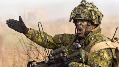 НАТО стягивает десятки тысяч солдат к западным границам России - polit.info - Украина