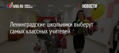 Ленинградские школьники выберут самых классных учителей - ivbg.ru - Ленинградская обл.