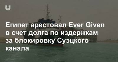 Усама Рабиа - Египет арестовал Ever Given в счет долга по издержкам за блокировку Суэцкого канала - news.tut.by - Египет