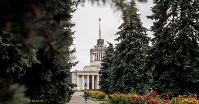 Правоохранители проводят обыски на ВДНГ: пришли домой и в офис руководителя "Экспоцентр Украина" - tsn.ua - Киев