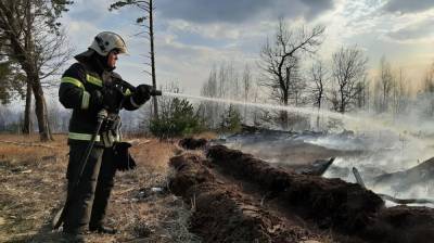 В районе Воронежской области локализовали мощный пожар - vestivrn.ru - Воронежская обл. - район Бобровский