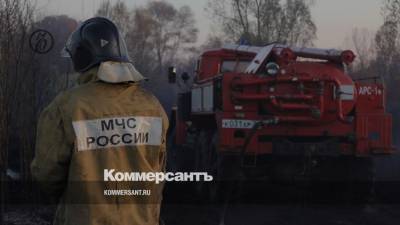 Под Воронежем в ландшафтных пожарах сгорели несколько домов - kommersant.ru - Воронеж - Воронежская обл. - район Бобровский