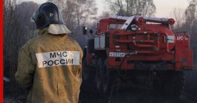 Восемь жилых домов сгорели в Воронежской области - profile.ru - Воронеж - Воронежская обл. - район Бобровский