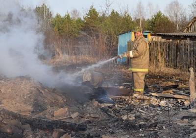 В Шацком районе целая деревня выгорела из-за сигареты - ya62.ru - Рязанская обл. - район Шацкий
