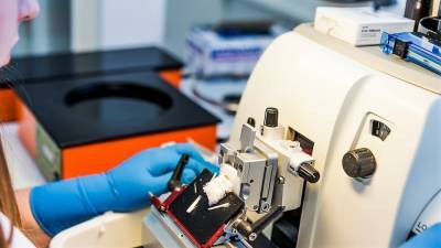 Жительница Петербурга умерла из-за поздно обнаруженного медиками рака - newinform.com - Санкт-Петербург