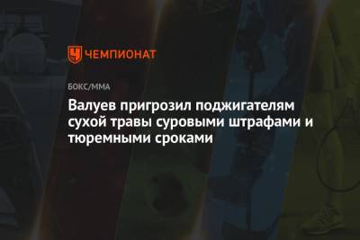 Николай Валуев - Валуев пригрозил поджигателям сухой травы суровыми штрафами и тюремными сроками - championat.com