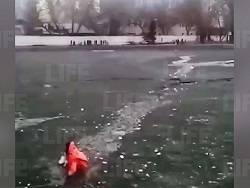 Парень утонул в пруду на северо-востоке Москвы, бросившись на помощь щенку - newsland.com - Москва