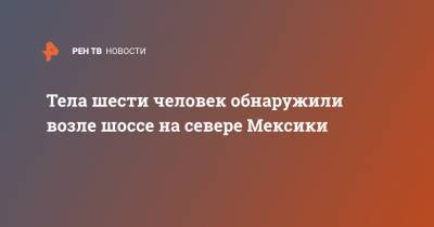 Тела шести человек обнаружили возле шоссе на севере Мексики - ren.tv - Мексика - Mexico