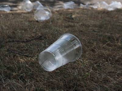 Ученые создали пластик из рыбных отходов и мира - cursorinfo.co.il
