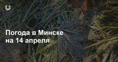 Погода в Минске на 14 апреля - news.tut.by - Минск - Минская обл.